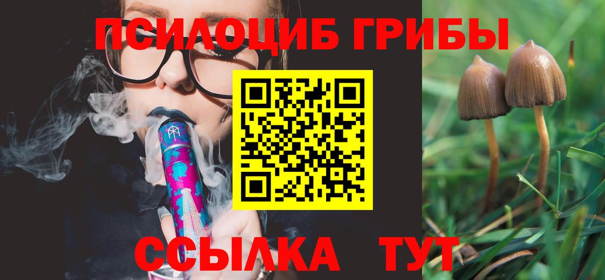 Псилоцибиновые грибы прущие грибы  Вход с VPN  Галлюциногенные грибы Psilocybine cubensis  Полысаево 