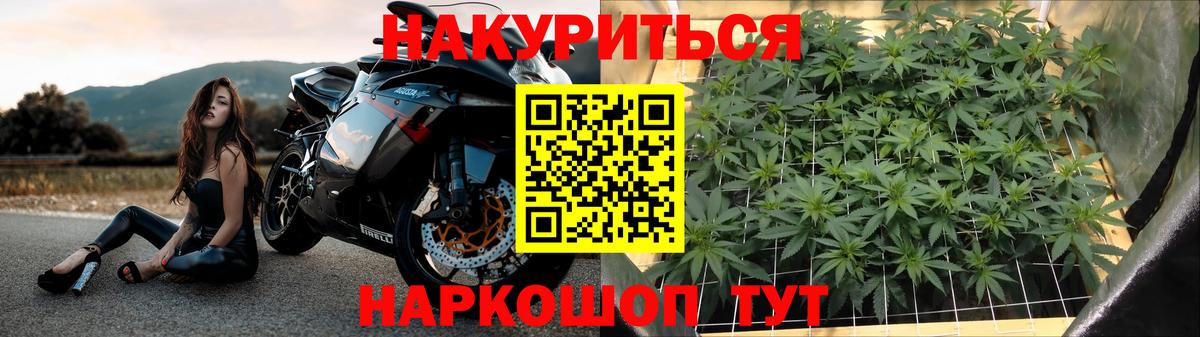 Конопля MAZAR Полысаево